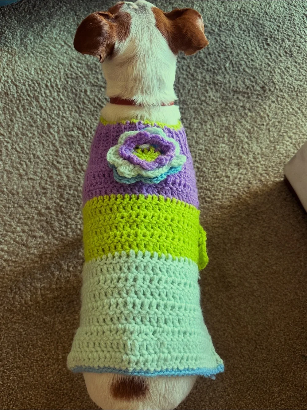 Handmade Pastel Crochet Dog Sweater - Purple, Lime & Mint
